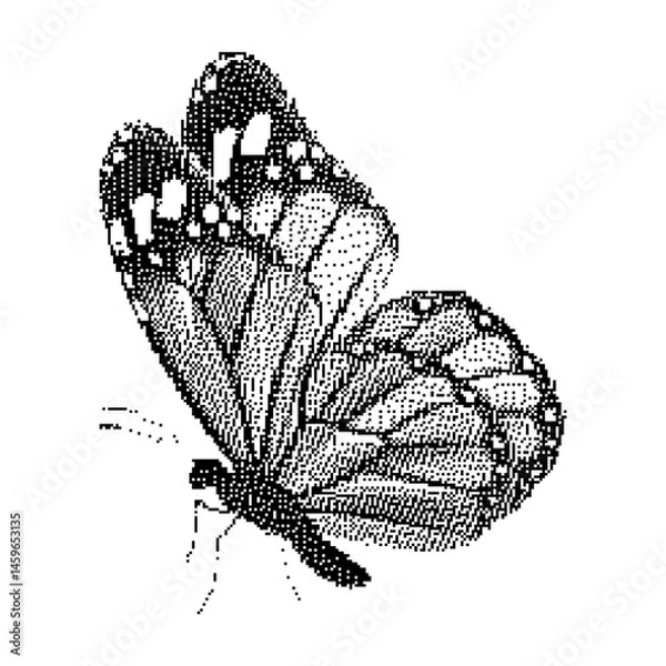 Obraz Pixel art butterfly. Animal vector illustration.