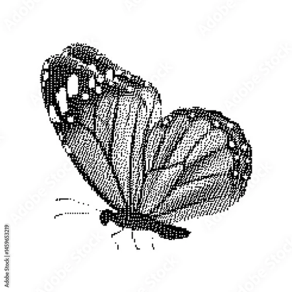 Obraz Pixel art butterfly. Animal vector illustration.