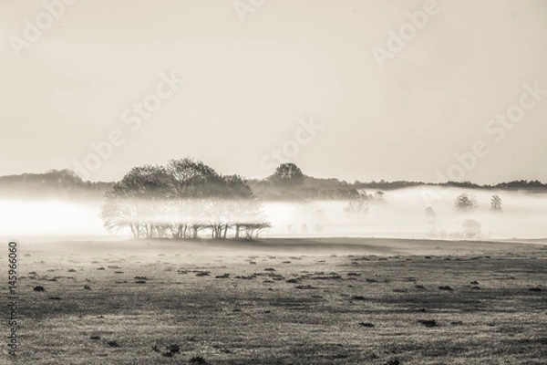 Obraz mgła nad narwią IV