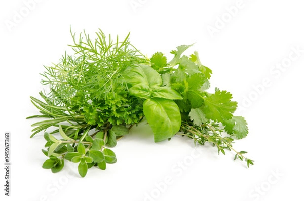 Obraz Frische Kräuter