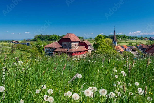 Obraz Alpine springtime meadows with Hagenwil Castle at Amriswil in the Canton of Thurgau in Switzerland