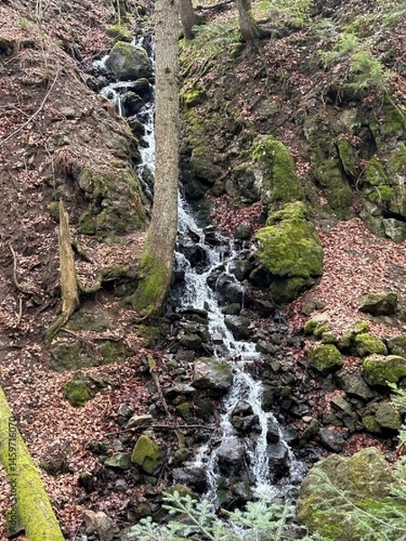 Obraz waterfall in the forest