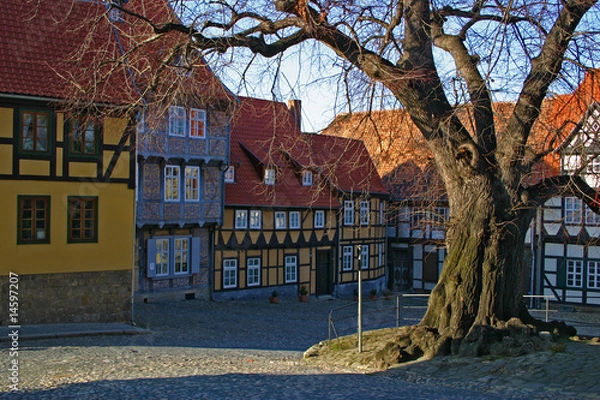Obraz Alte Eiche
