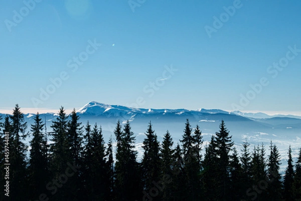 Fototapeta View on Carpathians Mountains Valley in Sunny Winter Day