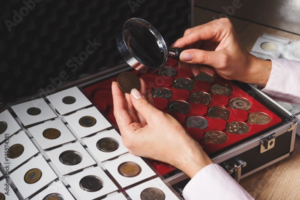 Fototapeta Box with collectible coins in the cells