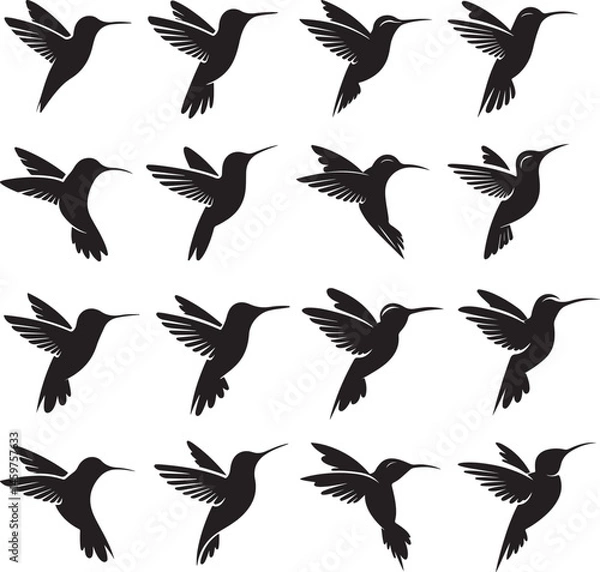 Obraz A bird set in black and white Vector image