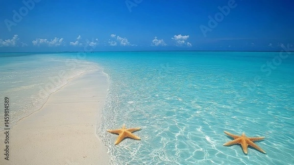 Obraz Clear blue water laps a sandy beach, where starfish bask in the summer sun.  Plenty of room for text. Beach relaxation.

