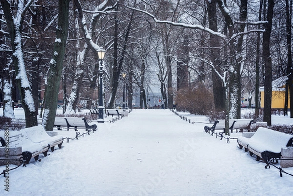 Obraz City park view at winter evening.