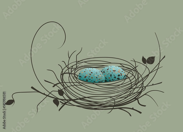 Obraz Bird eggs in the nest