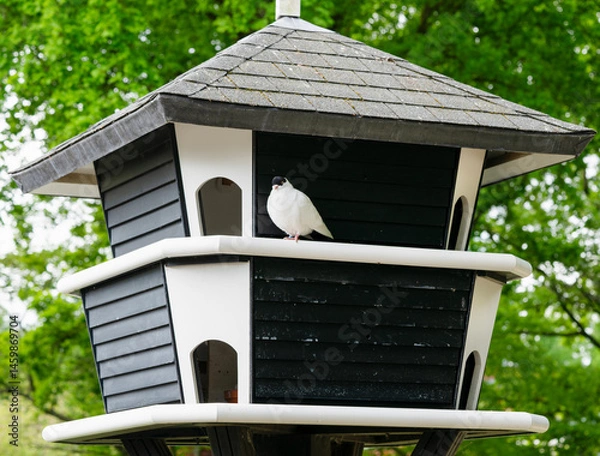 Fototapeta big dovecote in the park