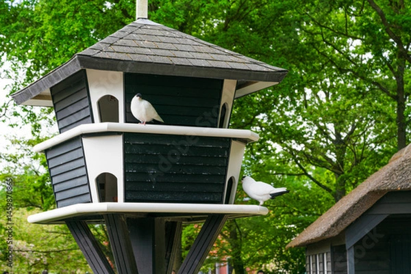 Obraz big dovecote in the park