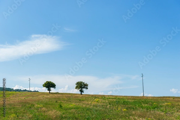 Obraz summer countryside landscape inside val d'agri, basilicata