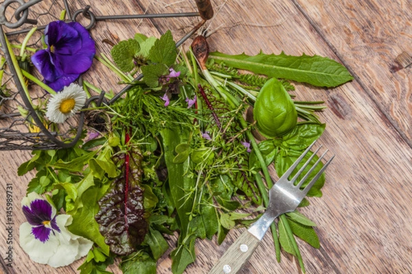 Obraz Świeże dzikie zioła na sałatkę