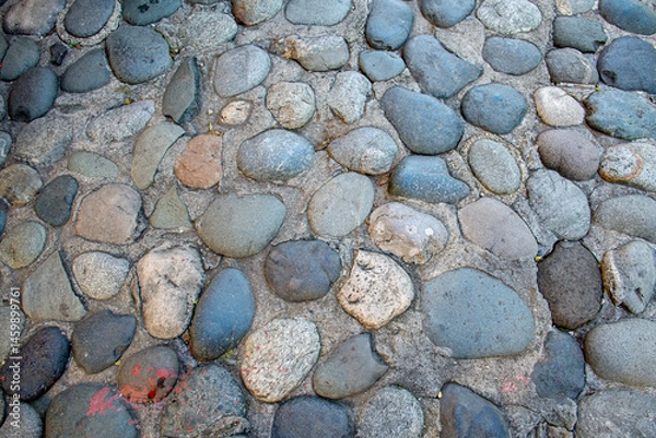 Fototapeta Round stones in the ground. Texture of the cobblestones in Park. Paved road for pedestrians. The paving stones.