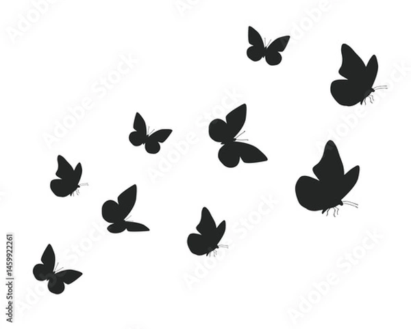 Obraz black flat flock hand drawn design vectoral 