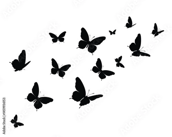 Obraz black butterfly flock design