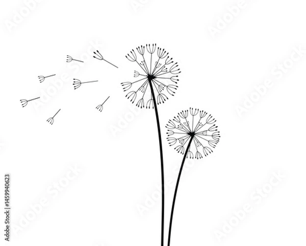 Obraz dandelion hand drawn design vector