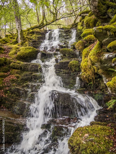 Fototapeta Wasserfall im Wald