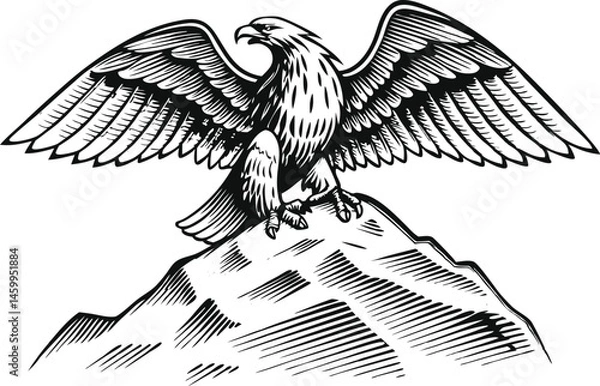 Obraz Highly detailed engraving of an eagle with wings spread, perched on a rock with mountain background in dramatic vintage fine line style


