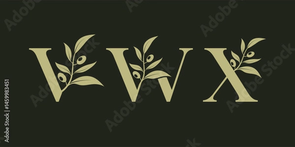 Fototapeta Set of vector logo designs for V W and X with olive leaves