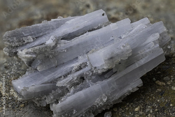 Fototapeta Macro shot of natural cyanite mineral showing parallel, elongated crystals with a distinctive fibrous structure and pale blue-gray color, perfect for geology, science, or educational media purposes