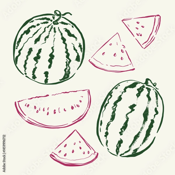 Fototapeta Vector fruit doodle illustration of watermelon. Hand-drawn garden harvest sketch. Organic farm graphics. Tasty food for design, veggie market drawing print, fabric or background.