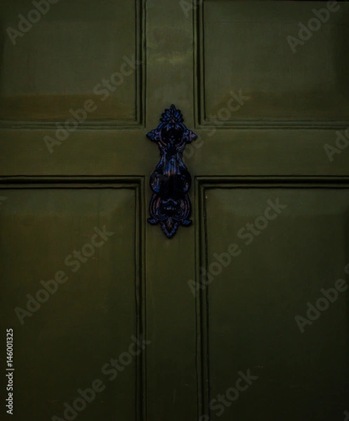 Fototapeta Green door with brass knocker in decorative shape, beautiful home entrance, vintage decor