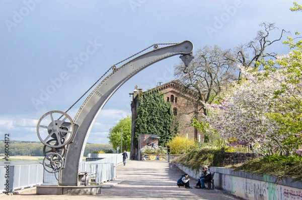 Obraz Oderpromenade in Frankfurt an der Oder zur Zeit der Baumblüte im April mit historischem Hafenkran und historischem Oderspeicher