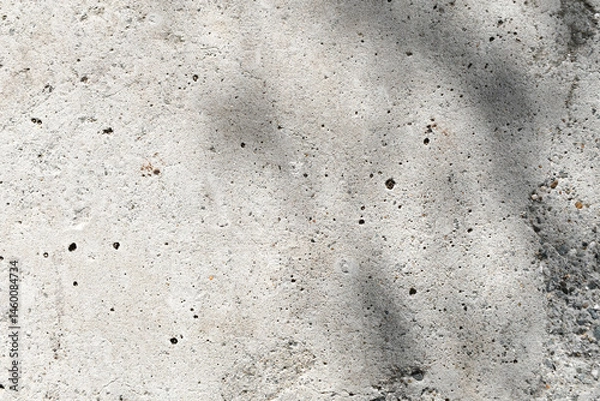 Obraz Concrete wall with shadow of leaves texture background. Uneven render stucco white painted concrete wall texture background. Rough and grunge wall in the sun.