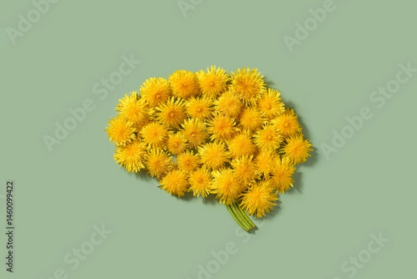 Fototapeta Dandelion flowers arranged in shape of human brain