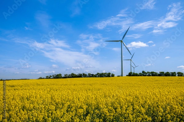 Obraz wind turbines in the field