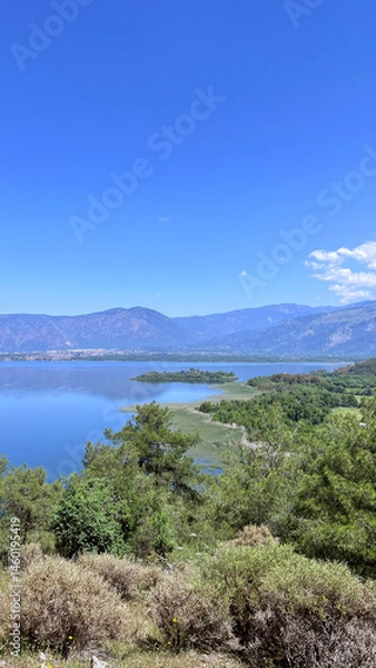 Fototapeta view of the lake, vertical Shot