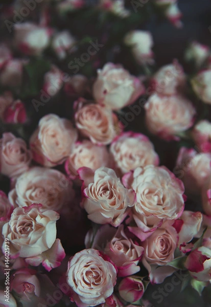 Obraz Bunch of fresh pastel roses vintage styled background