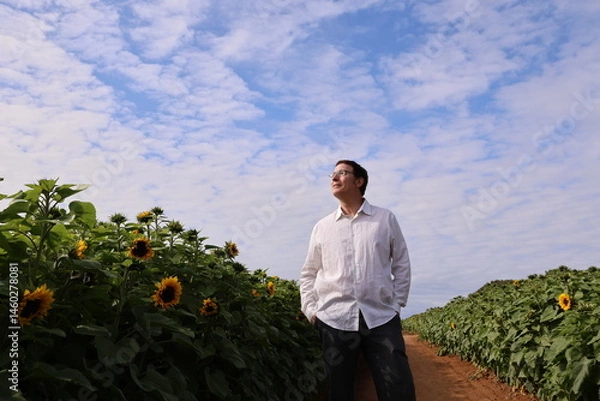 Obraz man in sunflower field