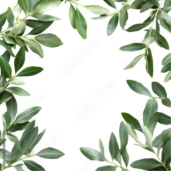 Fototapeta Green leaves frame black background nature foliage botanical design