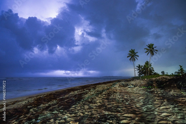 Fototapeta view from the beach with palm tree facing the ocean with heavy clouds and light from a lightning bolt