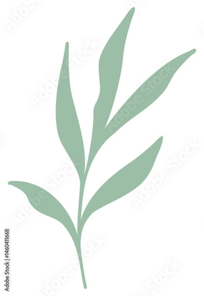 Obraz Leaves | Leafy Branch | Vector Plants