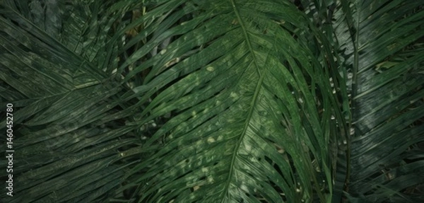 Fototapeta Intricate veins, deep green hues, tropical palm leaf texture closeup , details, vibrant