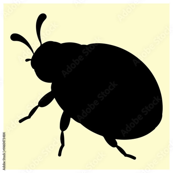 Fototapeta A black silhouette of a Ladybug