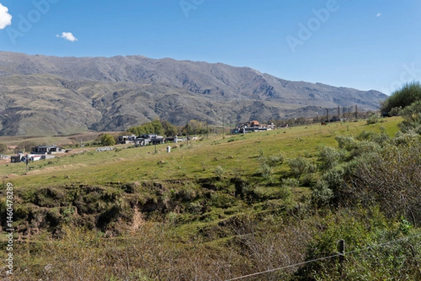 Obraz landscape with mountains and trees