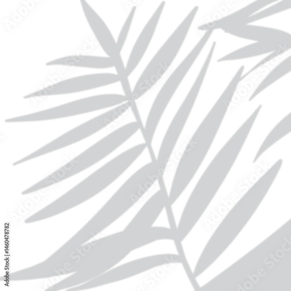 Obraz a leaf shadow background