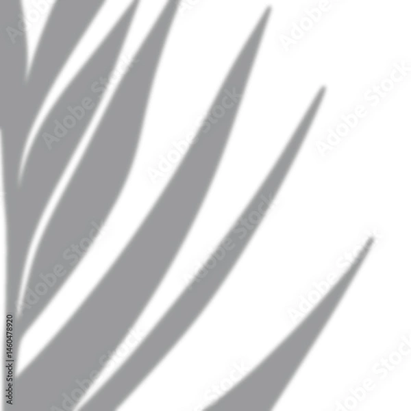 Obraz a leaf shadow background