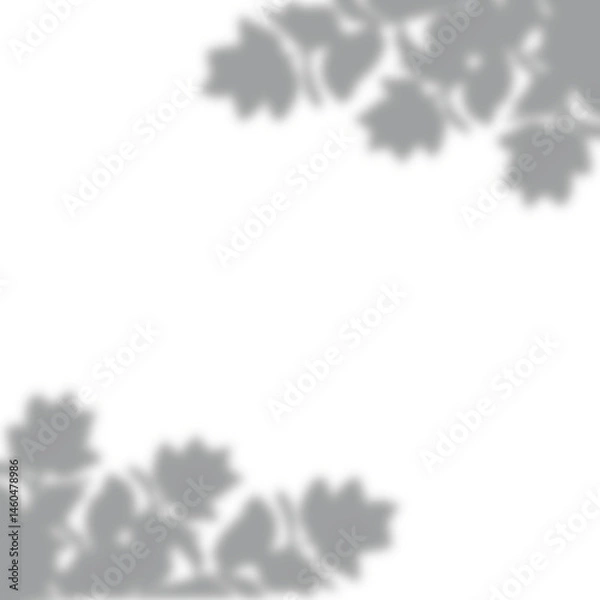 Obraz a leaf shadow background