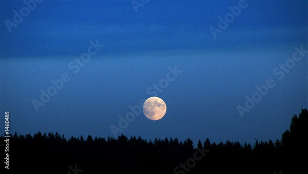 Obraz moon rise over seattle