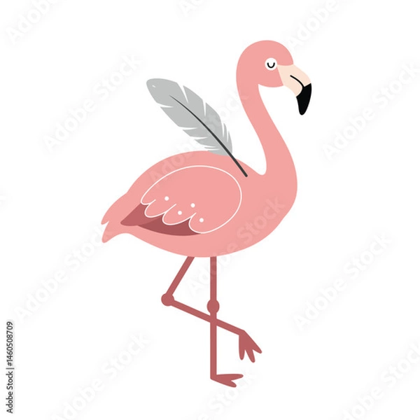 Fototapeta Pink flamingo bird standing on one leg with gray feather on white background vector illustration 