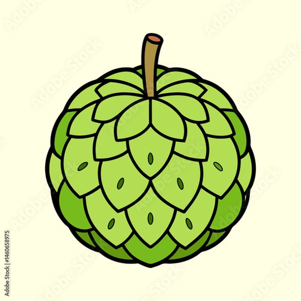 Fototapeta A Detailed Illustration of a Single Cherimoya Fruit with a Green Hue and a Scaly Texture