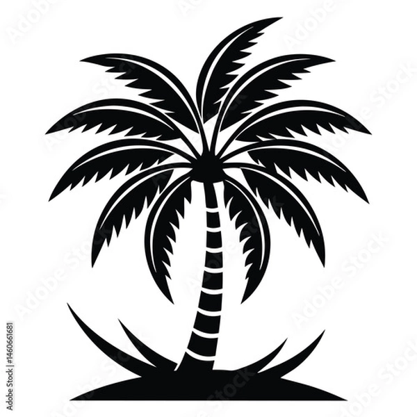 Fototapeta Palm Tree Icon on Black and White Vector Backgrounds