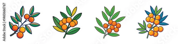 Obraz Sea Buckthorn Branch Vector Illustration Set with Vibrant Orange Berries and Green Leaves