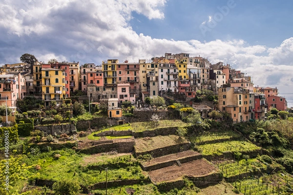Obraz Corniglia (Cinque Terre Italy)