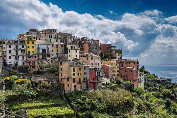 Obraz Corniglia (Cinque Terre Italy)